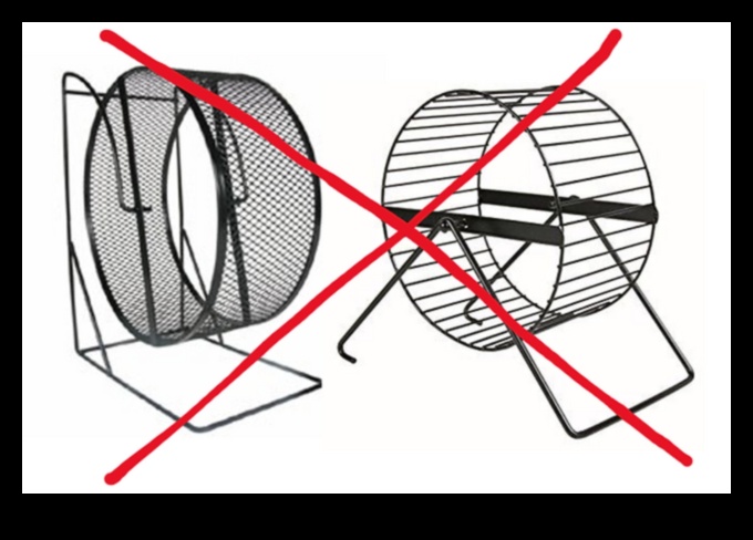 Wheel of Fun: Choosing the Best Exercise Wheel for Your Hamster