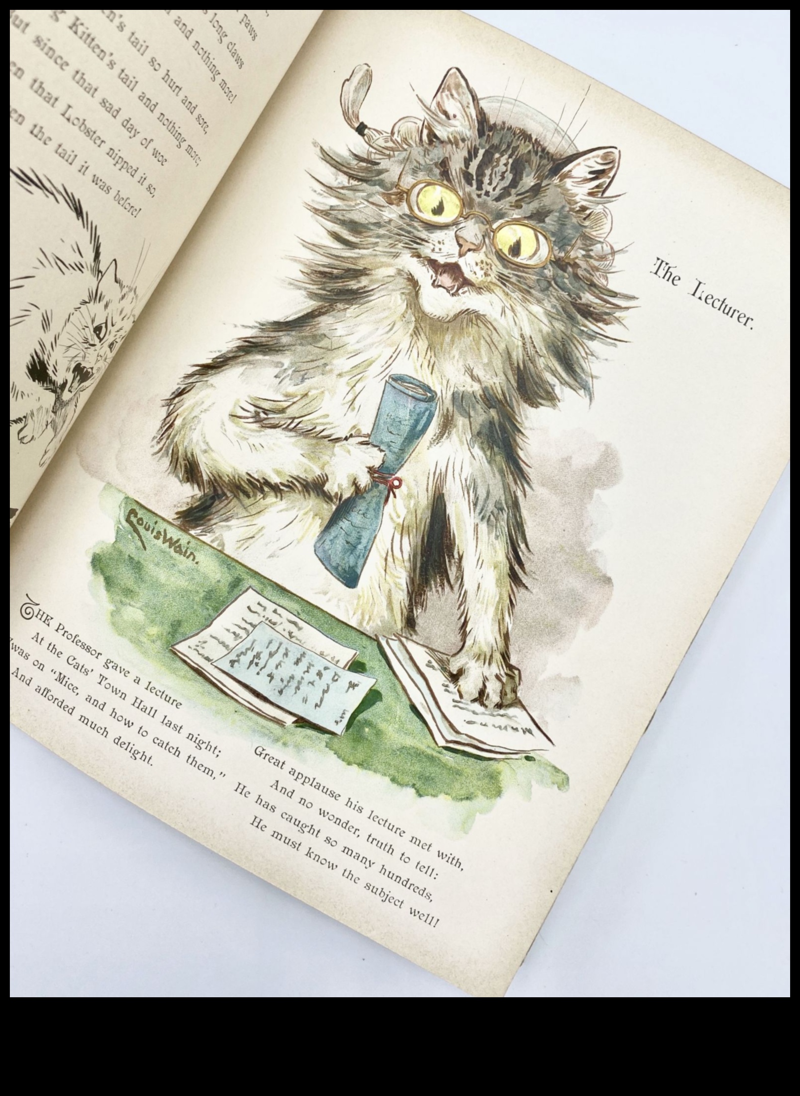 Whisker Wonderland: Fun and Frolic for Your Feline Friend