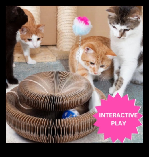 Whisker Wonders Continued 7 New and Exciting Accessories for Cats to Level Up Their Lifestyle 2 Whisker Wonders Continued: Discovering New and Exciting Accessories for Cats