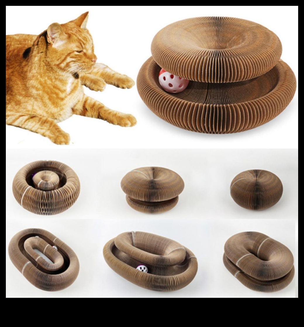 Whisker Wonders Continued 7 New and Exciting Accessories for Cats to Level Up Their Lifestyle 4 Whisker Wonders Continued: Discovering New and Exciting Accessories for Cats