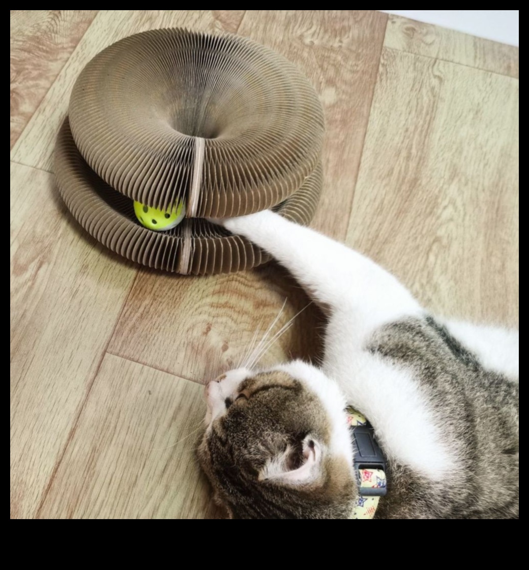 Whisker Wonders Continued 7 New and Exciting Accessories for Cats to Level Up Their Lifestyle 5 Whisker Wonders Continued: Discovering New and Exciting Accessories for Cats
