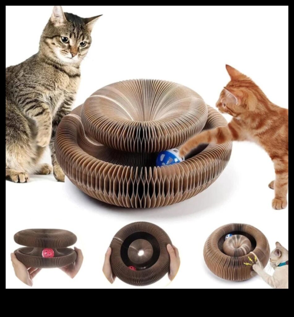 Whisker Wonders Continued Unleash Your Cat's Inner Fashionista with These Chic New Accessories 1