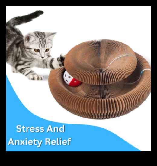 Whisker Wonders Continued: Discovering New Accessories for Cats