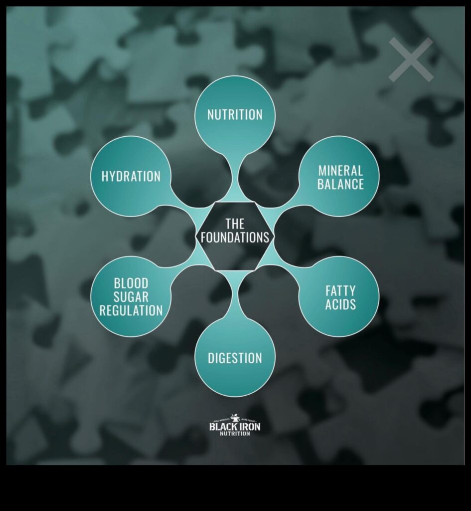 Whole-Self Fitness A Holistic Approach to Optimal Health 1