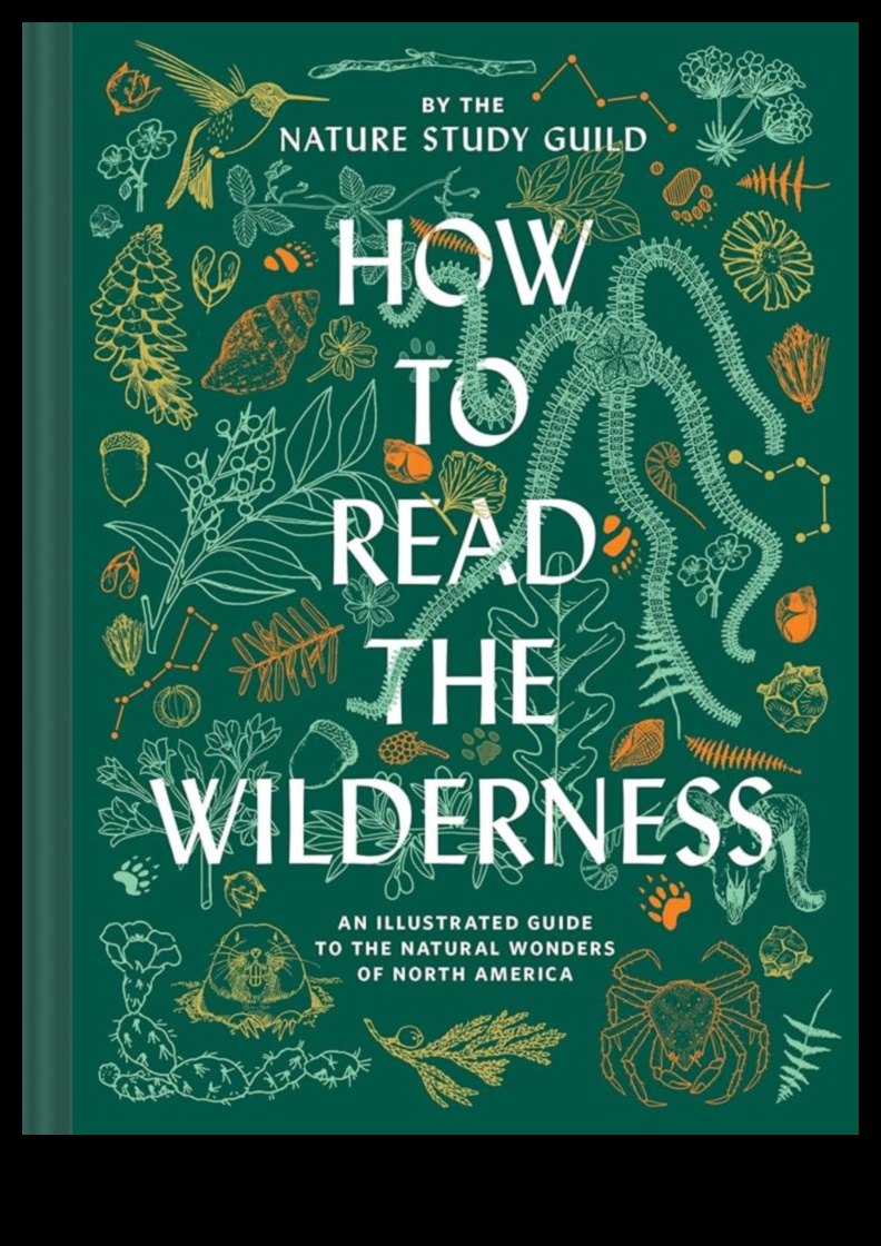 Wilderness Wonders: A Guide to Nature's Hidden Gems