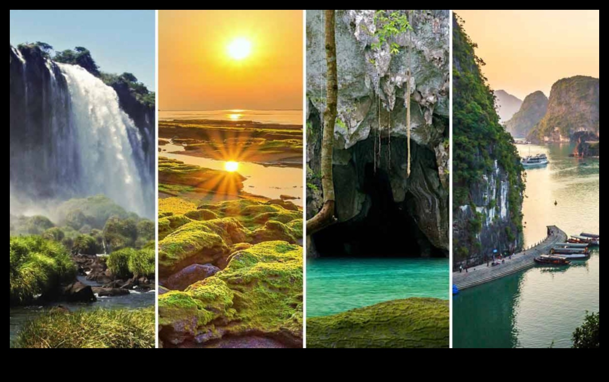 Wilderness Wonders: A Guide to Nature's Hidden Gems