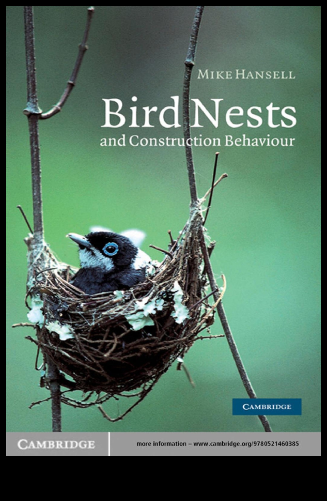 Winged Architects: Examining the Construction of Elaborate Bird Nests