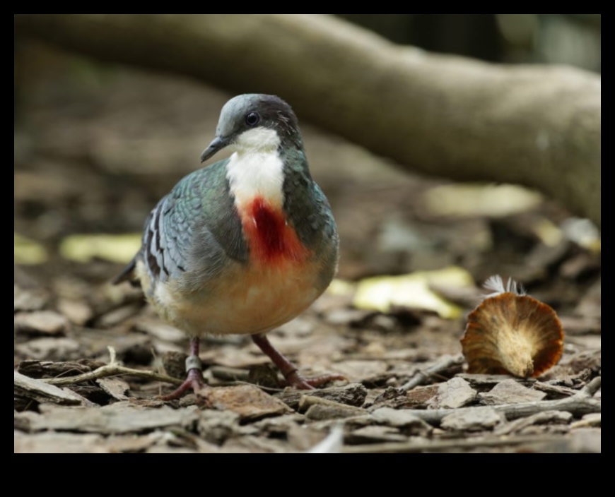 Winged Wonders Continued: Rare and Endangered Bird Species