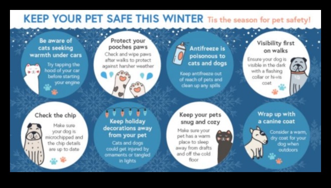 Winter Pet Care Tips Keeping Your Furry Friend Warm and Cozy 1