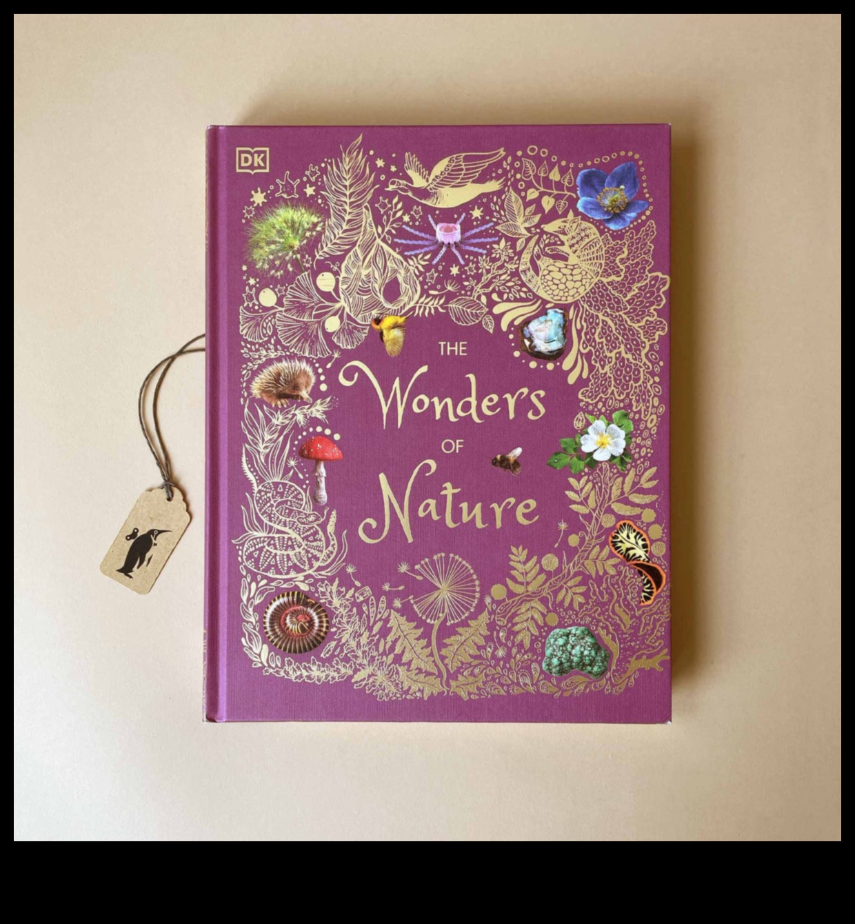 Woodland Wonders: Navigating the Secrets of Nature