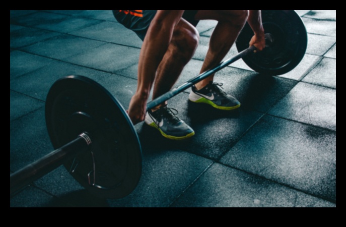 Workout Wonders How Exercise Benefits Your Body and Mind 1