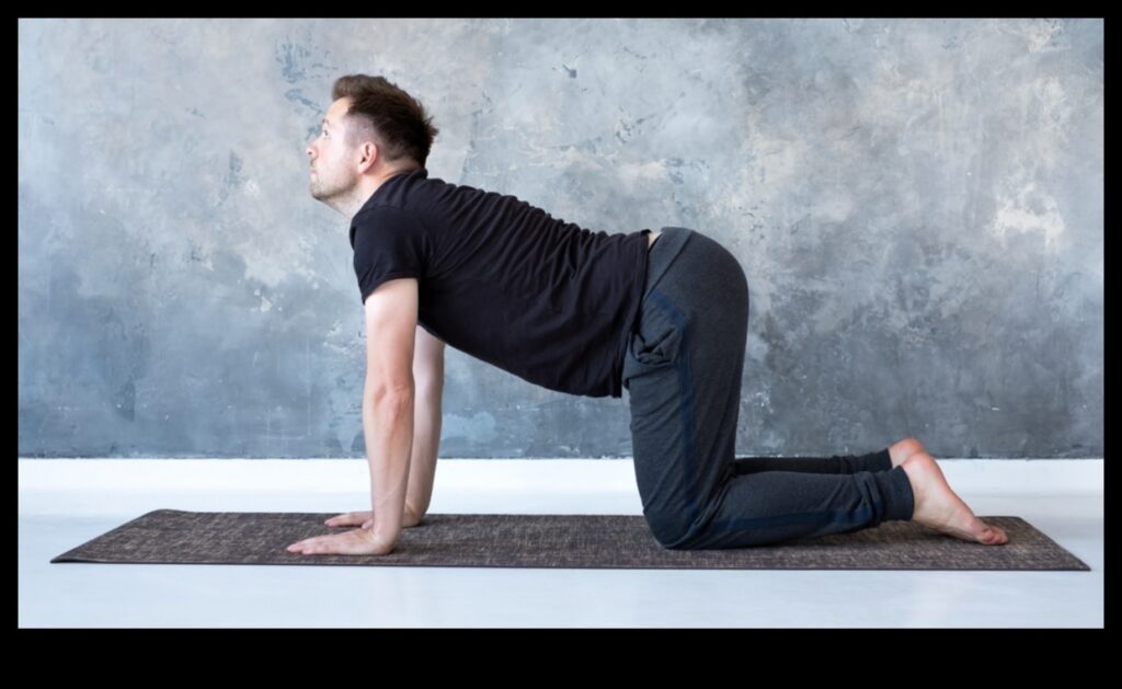 Yoga Symphony A Harmonious Approach to Fitness 1