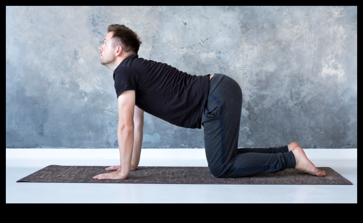 Yoga Symphony: Harmonizing Mind and Body in Fitness