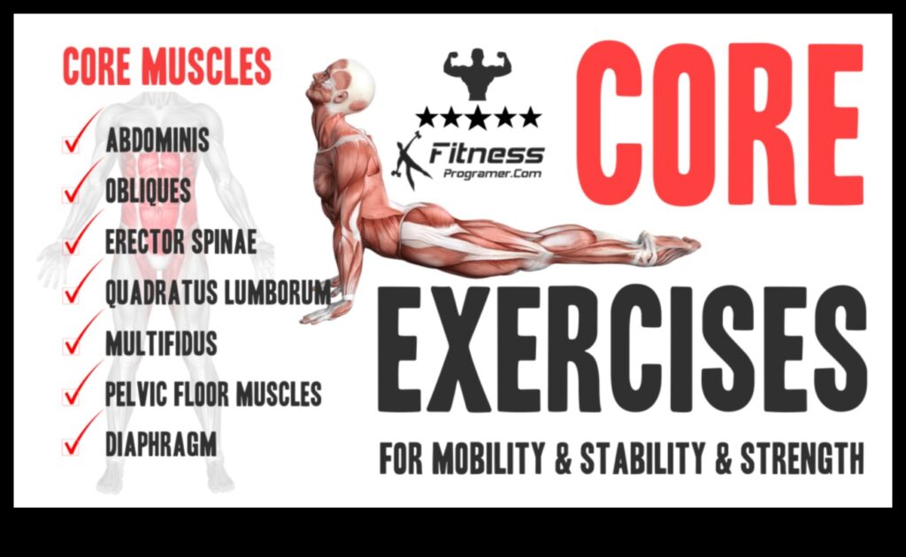 Your Ab Arsenal 30+ Core Exercises to Build Strength and Stability 1