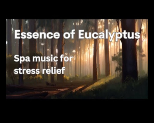 Zen Zephyr: Embracing Calm in Your Outdoor Activities